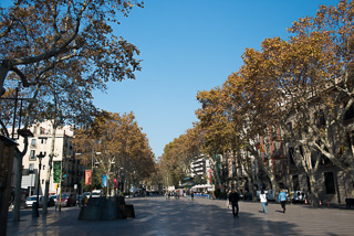 Lower Portion of Las Ramblas