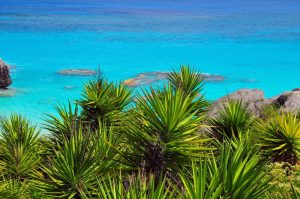 Rocky Coastline - Bermuda Beaches