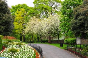 Large Park and Gardens in Dublin