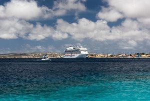 Sailing By The Royal Princess