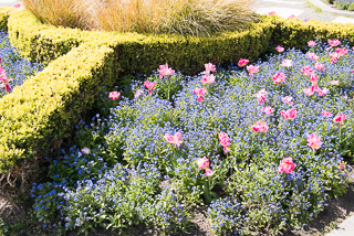 Gardens in Brugge