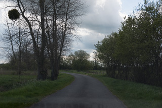 Narrow French Country Roads