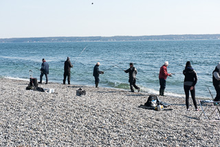 Fishermen Along Shoreline