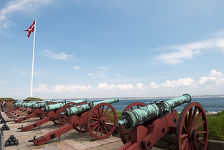 Canons Protecting The Castle