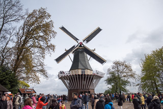Windmill in Kukenhof Gardens