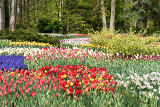 Kukenhof Gardens