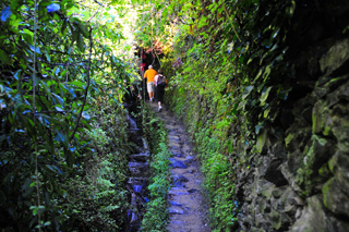 vernazzatrail02