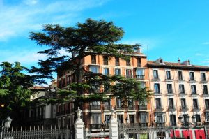 Buildings in Madrid