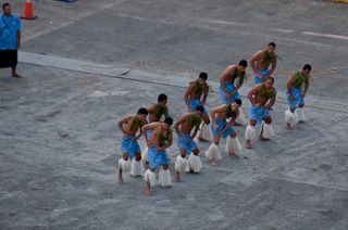 Apia-028