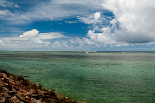 Apia-100