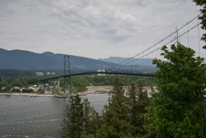 Prospect Point View of Lions Bridge