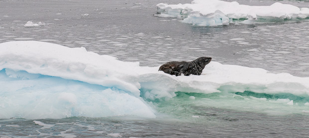 Lapeyrere Bay – February 17, 2023 Lapeyrere Bay – February 17, 2023