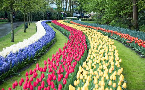 Rotterdam, Netherlands – April 29, 2016 Rotterdam, Netherlands – April 29, 2016