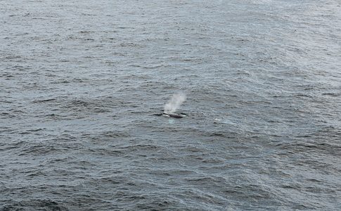 Last Sea Day – September 21, 2018 Last Sea Day – September 21, 2018