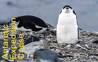 Viking Antarctic Expedition Cruise  -  2023