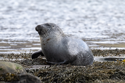 Iceland Day 7 – Leaving the Westfjords