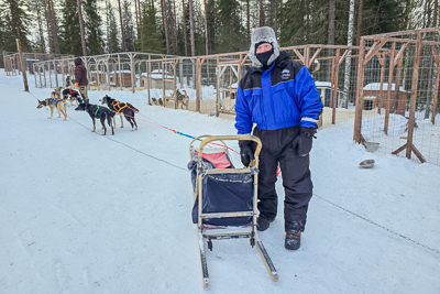Rovaniemi Day 3 – Dog Sled Adventure